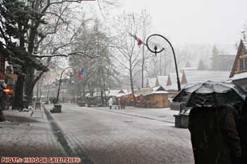 IMG_ (11412)